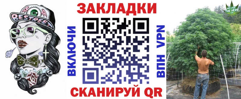Лсд 25 Светогорск