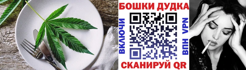 Купить закладки  Светогорск  Cannafood конопля 