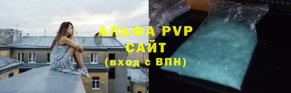 крисы Коряжма