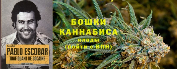 прущие крисы Козловка