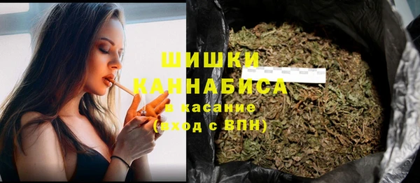 прущие крисы Козловка