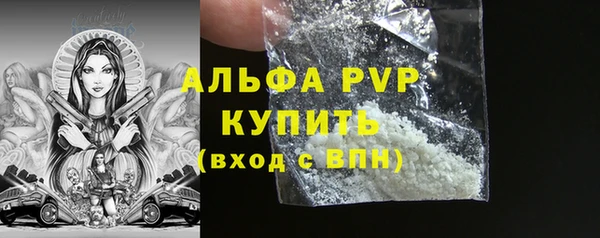крисы Коряжма